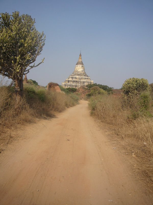 View from the back of the horse-cart.